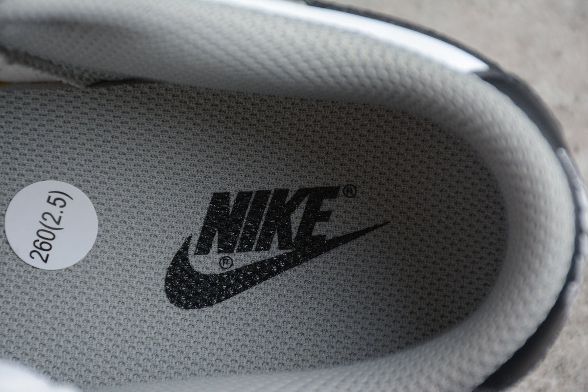 Nike Dunk Low Light Smoke Grey