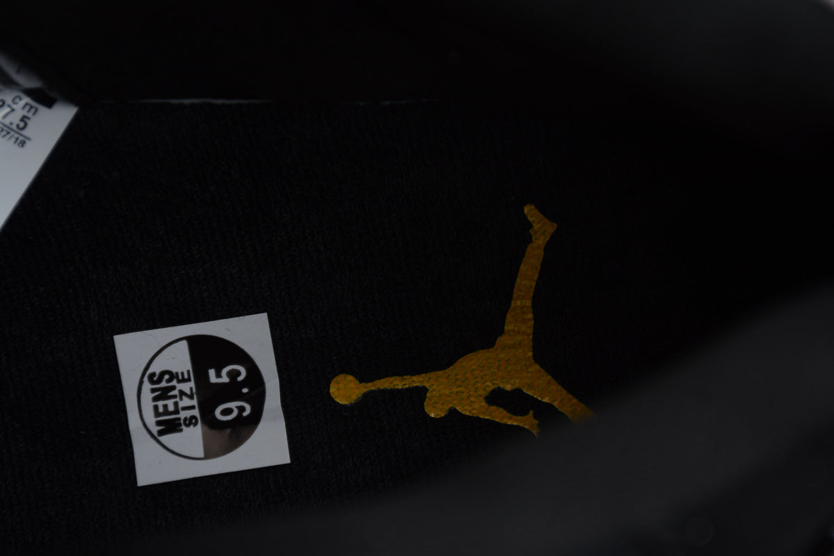 AJ 11 "Gamma Negro"