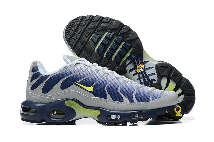 Air Max Plus TN "Plata Metálica"