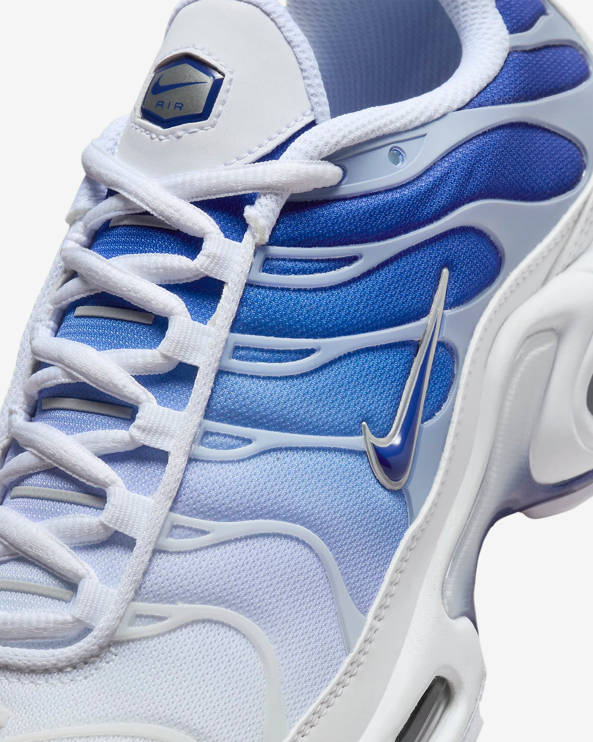Air Max Plus TN "Degradado azul"