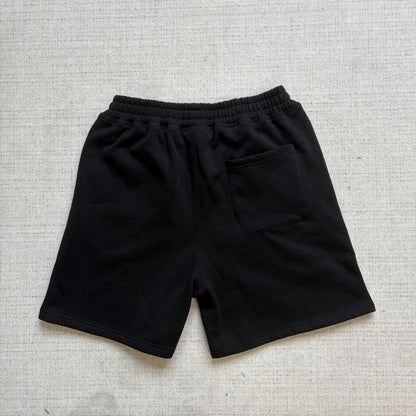 Shorts Stussy