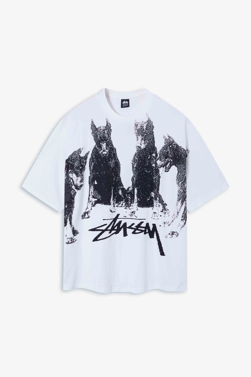 Stussy SS24 Tshirt