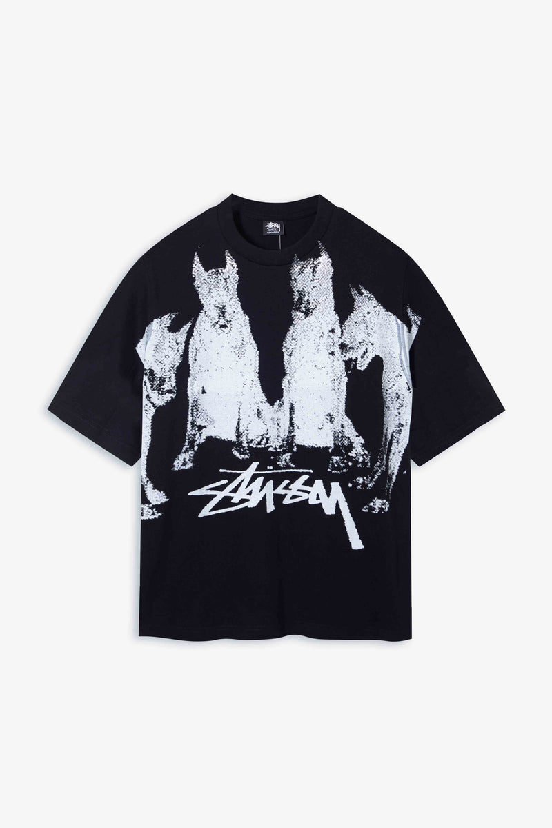 Stussy SS24 Tshirt