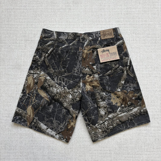 Shorts Stussy