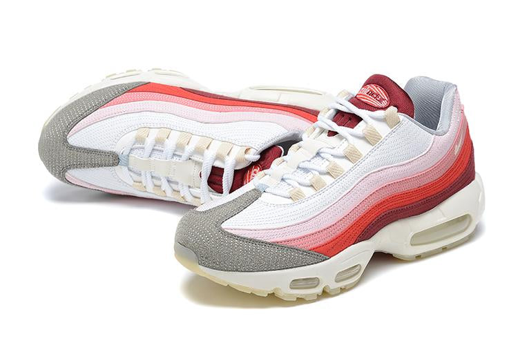 Air Max 95 Anatomy of Air