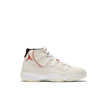 AJ 11 "Tinta Platino"