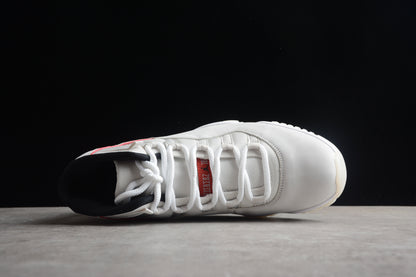 AJ 11 "Tinta Platino"