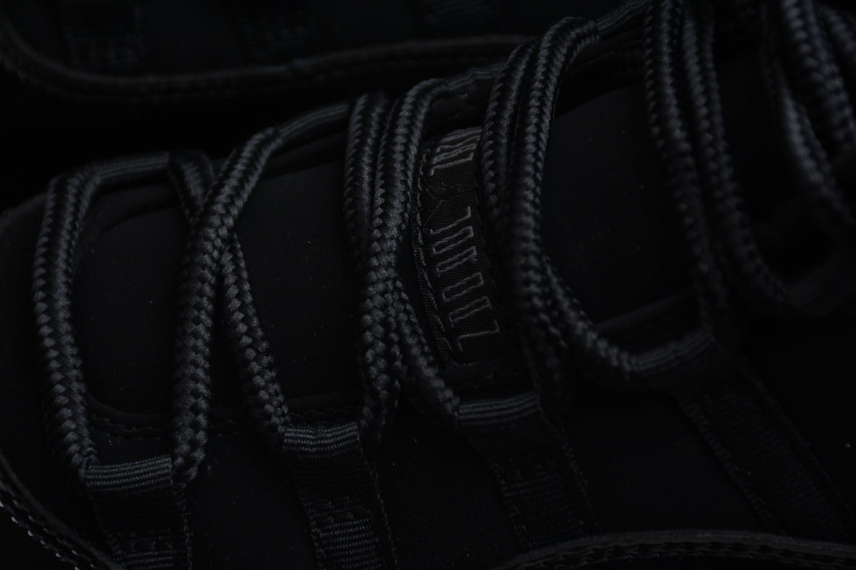 AJ 11 "Gamma Negro"