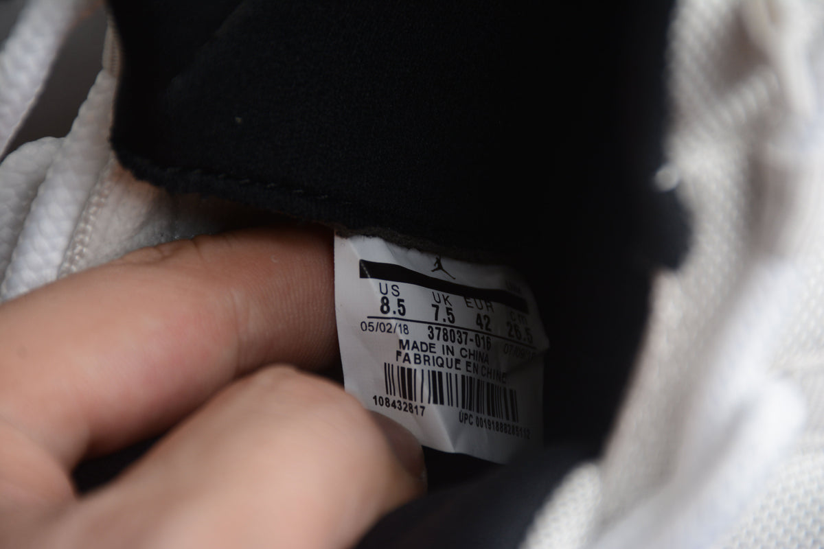 AJ 11 "Tinta Platino"