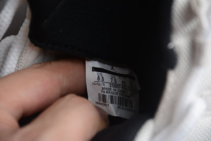 AJ 11 "Tinta Platino"