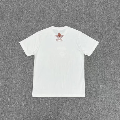 Camiseta de la PA