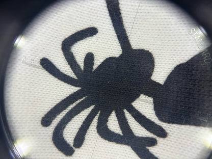 Questa maglietta