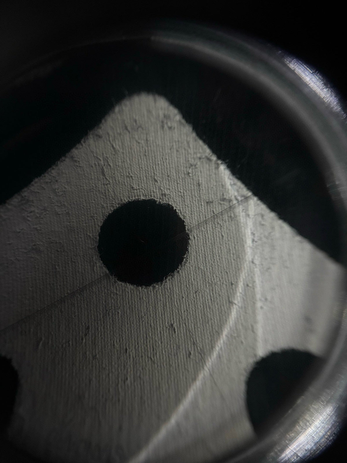 Questa T-shirt