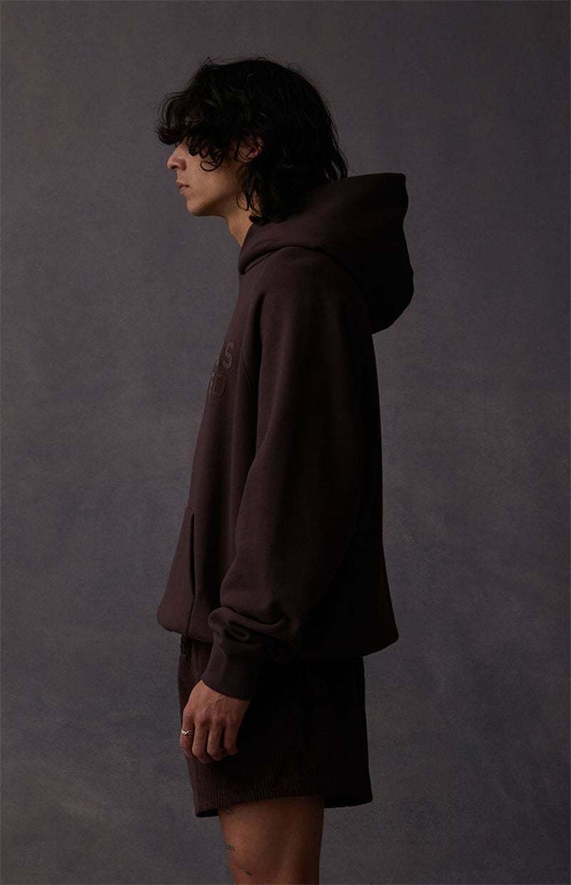 Sudadera con capucha FOG x Essentials PV23